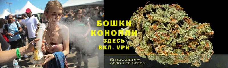 Конопля OG Kush  Боровск 